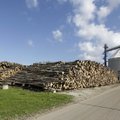 Eestis on hea midagi puidust toota, kui vaid töökäsi jaguks
