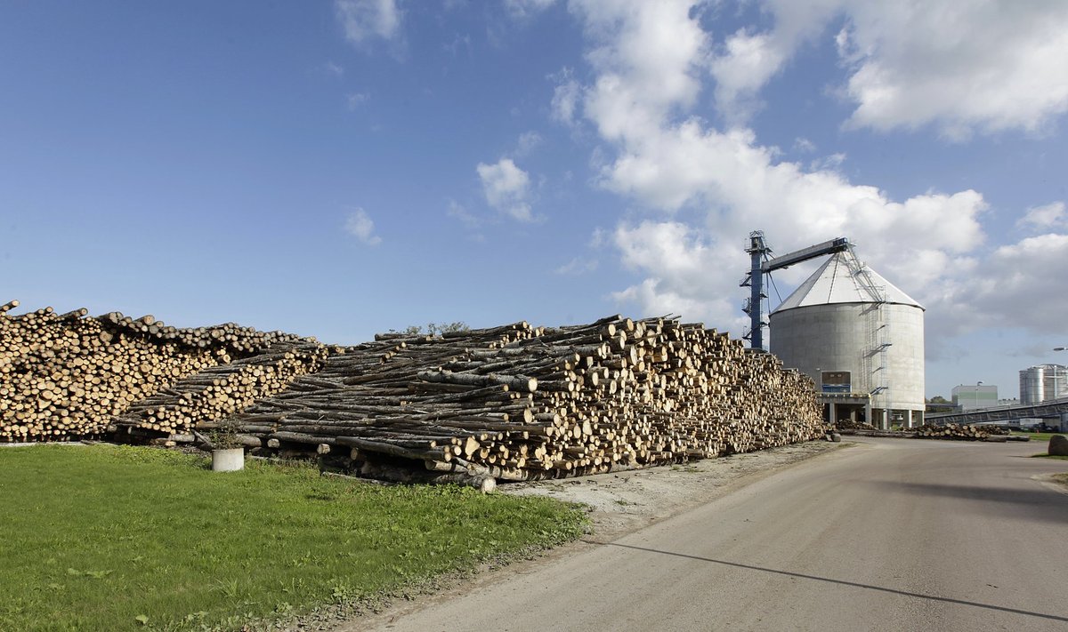 Kõige rohkem rõhuvad energiamahukat puitmassitootmist arendavat Estonian Celli suured elektri- ja gaasikulud. Just nende kulude vähendamis eks rajati 2014. aastal oma biogaasijaam, mis siiani Eesti suurim.