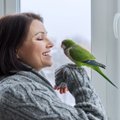 Хорошие вещи бесплатны! Ученые открыли хобби, повышающее настроение, которое может предотвратить депрессию 