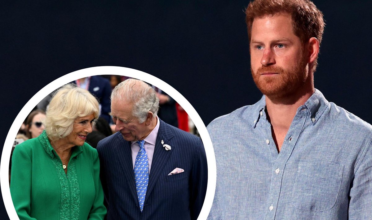 Camilla, Charles ja Harry