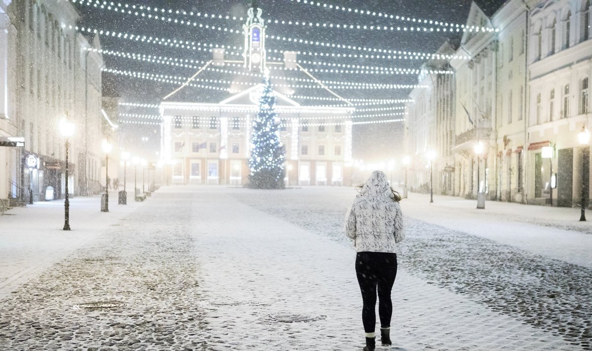 Tartu tormituul