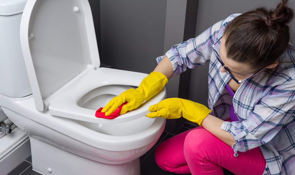 Kasutage tualettpoti puhastamiseks mikrokiust lappi.