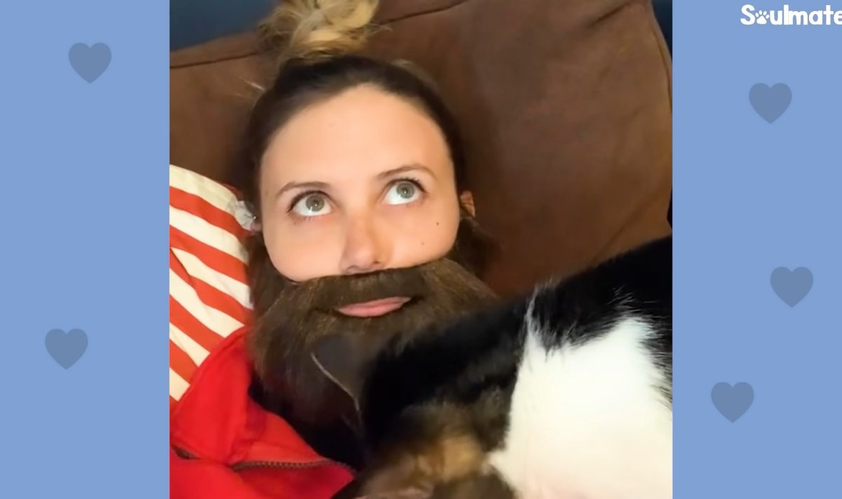 Lindsey kannab habet, sest kass ei armasta teda muidu