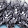 Moehiiglased loobuvad karusnahast: 750 ettevõtet üle maailma on liitunud karusnahavaba programmiga