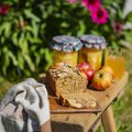 Eesti õun - väike, aga tubli | 5 põhjust, miks õuna süüa ja retseptiideed, mida koduaiaõuntest valmistada