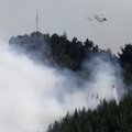 Uus-Meremaa võitleb põrgulike metsatulekahjudega: tuhanded evakueeriti