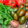 Aiandusekspert Eva Luigas soovitab - 12 erilist tomatisorti