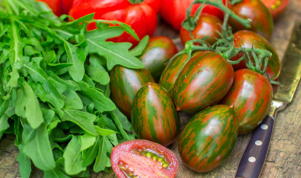 Tavapäraste punast värvi tomatite kõrval võiks ju kasvama panna ka mõne triibulise sordi.