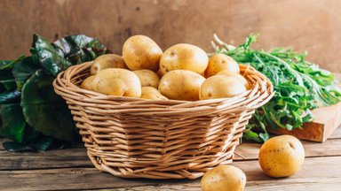 Teadlased kinnitavad: päikesest roheliseks tõmbunud kartulit ei tasu süüa! Aga kas teadsid, et NASA teadlased kasvatasid kartuleid kosmoses?