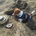 ФОТО И ВИДЕО | Украинская собака-сапер стала военным героем и мировой интернет-звездой