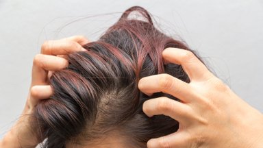 Iga juuksur hoiaks peast kinni ehk ära selliseid vigu juuksehoolduses küll tee
