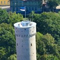 В понедельник — День флага Эстонии. Приходите к Длинному Герману!