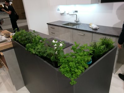 Värsked vitamiinid omast käest võtta