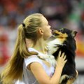 Eesti korraldab 2020. aasta koeraspordi suursündmust: Tallinn täitub tipptasemel koerte ja koerasportlastega