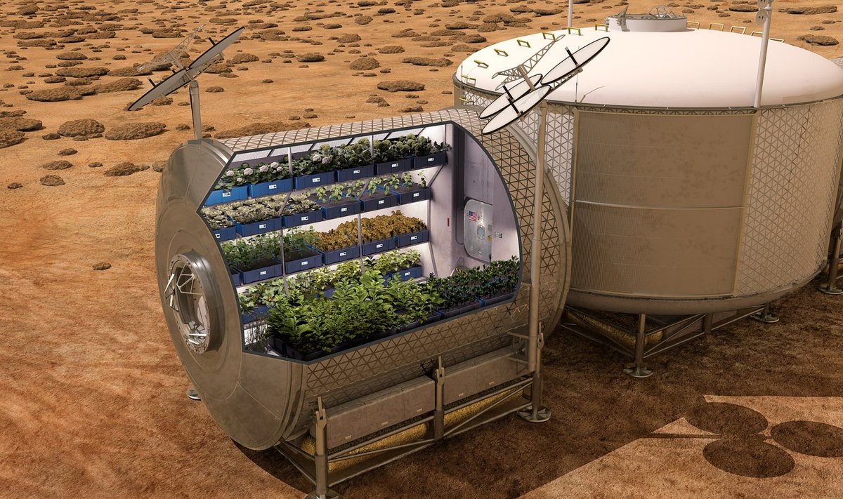 Kunstniku nägemus tulevase mehitatud Marsi baasi viljaaiast. USA kosmoseagentuuri plaanid näevad ette astronautidele hädavajaliku värske toidu kasvatamist nii kosmoselaevades kui teistel planeetidel.