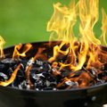 Grillsüsi — toidu valmistamiseks ideaalne, kuid elukeskkonnale katastroofilise mõjuga