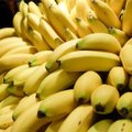 VIDEO | Uskumatu, mida kõike banaaniga lisaks lihtsalt ärasöömisele teha saab!