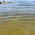 ФОТО | Купаться на пляже Пирита не рекомендуется