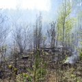ВИДЕО: Во время учений НАТО на полигоне в Латвии загорелся лес