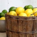 45 mõjuvat ja tervislikku põhjust, miks sidrunit armastada