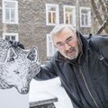 Rail Balticu loomalood: Turovski sõnul vajab ettevaatlik hunt ökodukti, millele ta julgeb astuda