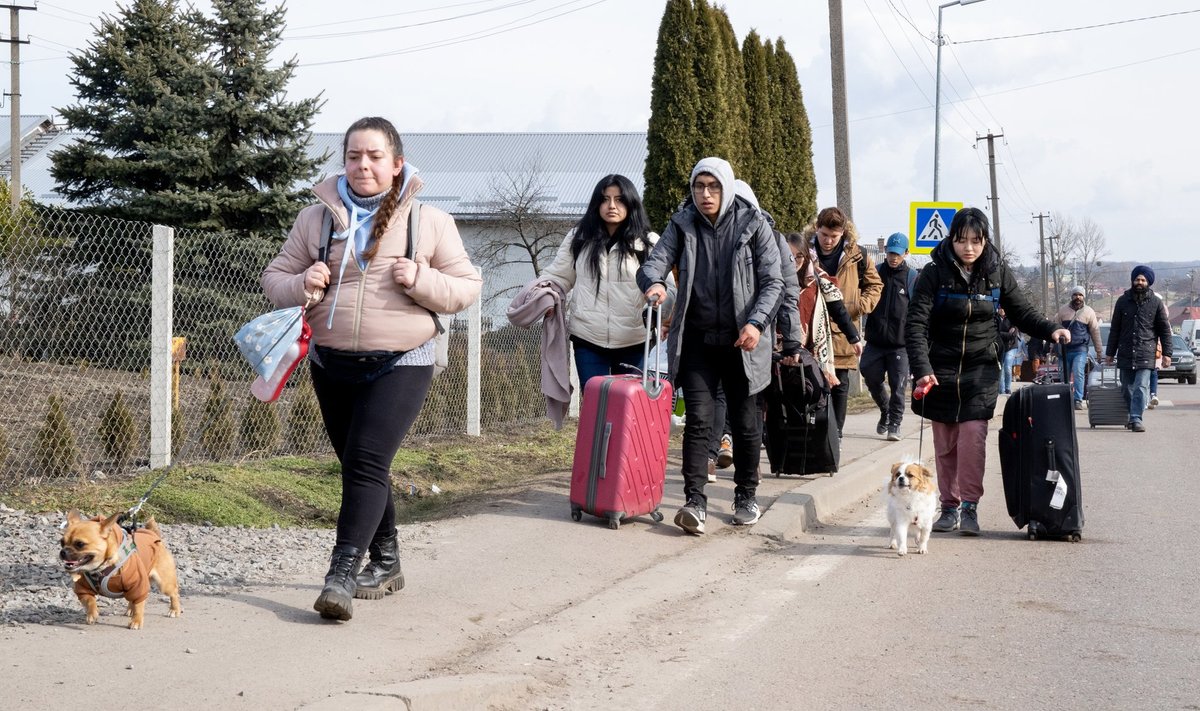 Sõja teisel päeval lookles lakkamatu põgenikevoor Ukrainas Šehõni piiripunkti poole, et pääseda Poola. Paljud olid päevi koos lemmikloomadega teel olnud. Väikesed koerad sibasid vapralt kümneid kilomeetreid oma omanike kõrval.