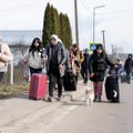 Omasid maha ei jäeta. Sajad koerad ootavad Ukraina piiril oma saatust