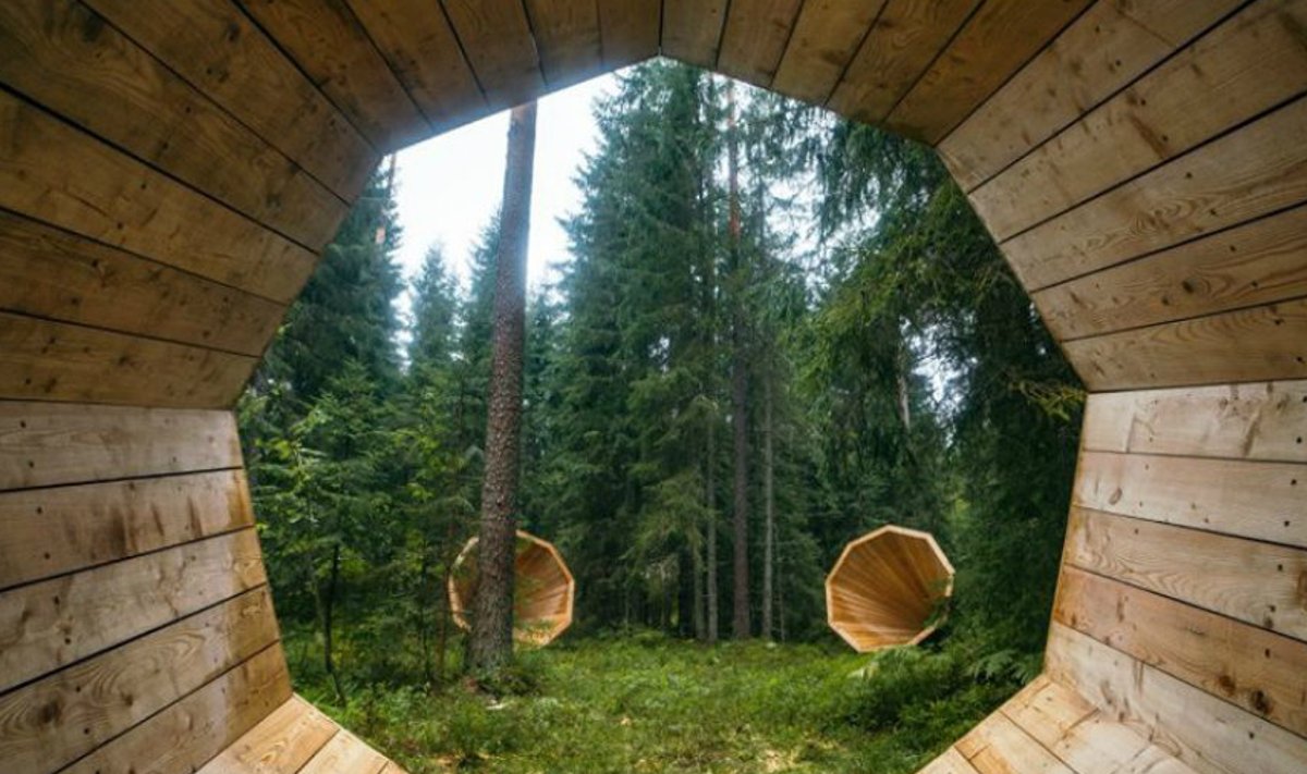 Võrumaa metsades olevad kõlakojad võimaldavad loodushääli võimendatult kuulata