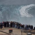 ВИДЕО: Серфинг на гигантских волнах Португалии