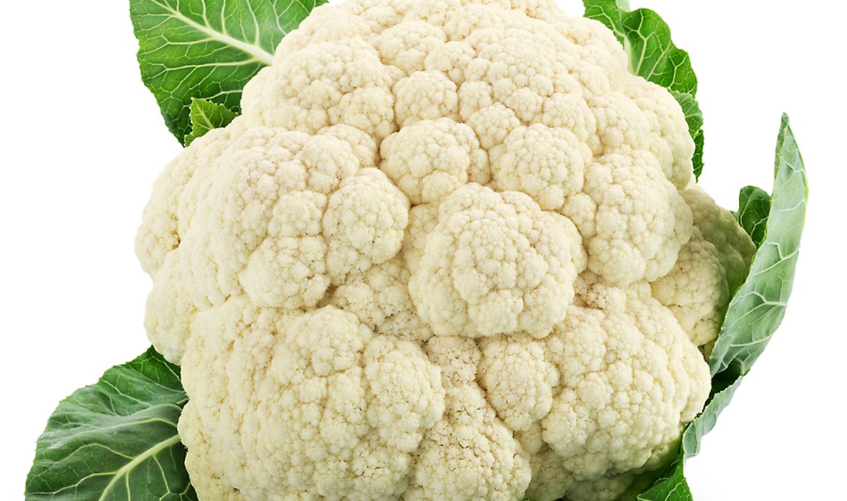 Foto: Shutterstock