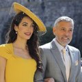 Imeline! Amal Clooney särab kuninglikus pulmas Stella McCartney kleidis