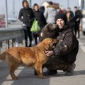 Ukraina põgenike lemmikloomadel on nüüdsest lihtsam kodumaale tagasi pöörduda