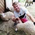Varbola talus Tartumaal on lambad muruniiduki eest