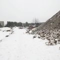 ФОТО И ВИДЕО | В мустамяэский лесопарк с улиц навезли гору грязного снега