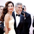 George Clooney: tiigri taltsutamine
