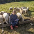 Aasta konsulent Ell Sellis: lambakasvatus on nii kahjumlik, et paljude pääsetee ongi verine vorstitegu põranda all