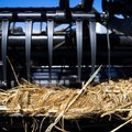 ФОТОРЕПОРТАЖ | Редкие кадры, снятые на полях во время уборки урожая