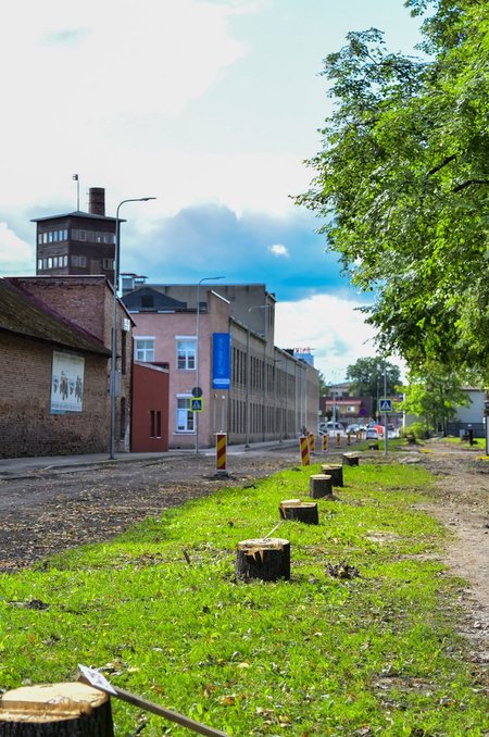 Puude raiumine Viljandi moodi