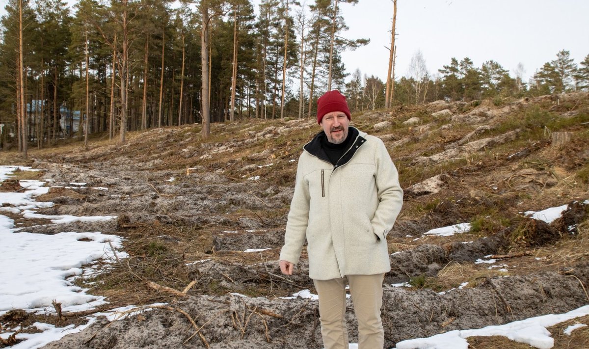 Waitz on üks saadikutest, kes töötab üle-euroopalise metsanduse strateegia kallal.