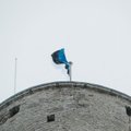 Праздничная неделя: какие мероприятия пройдут в честь Дня независимости Эстонии