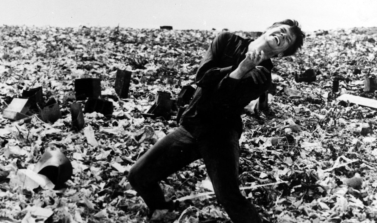 Poola filmiklassiku Andrzej Wajda "Tuhk ja teemant" põhjustab siiani oma sümboolse filmikeele kasutamise tõttu vaidlusi.