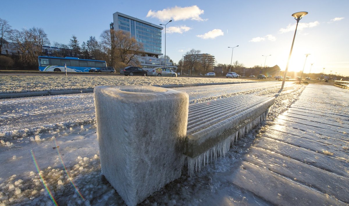 Jäätunud Pirita tee