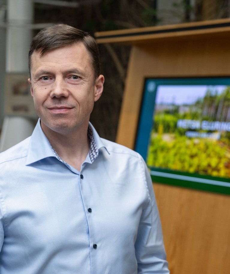 RMK puiduturustuse osakonna juht Ulvar Kaubi sõnul müüakse oksjonitel ca 15% RMKs raiutavast puidust, ülejäänud kestvuslepingutega.