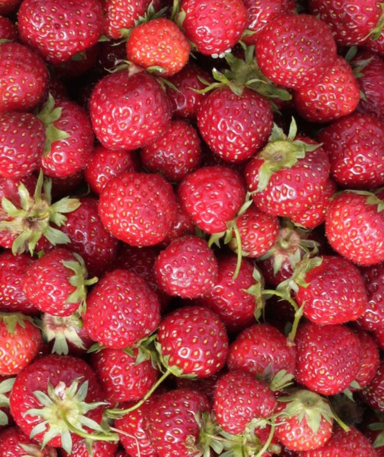 Kõige maitsvam on maasikas ikka siis, kui see otse peenralt tuleb.