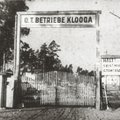 В Эстонии открыт инфопортал о массовом убийстве в концлагере Клоога в 1944 году