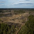 Noored Euroopa Parlamendile: lõpetame Eesti metsi hävitava biomassi masspõletamise