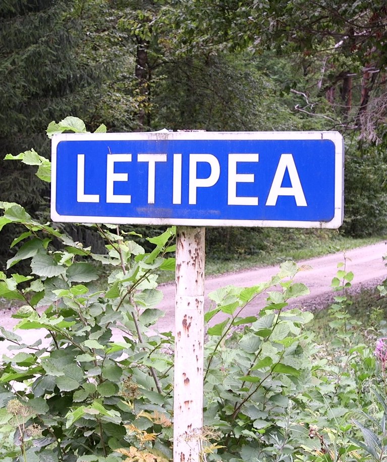 Letipea