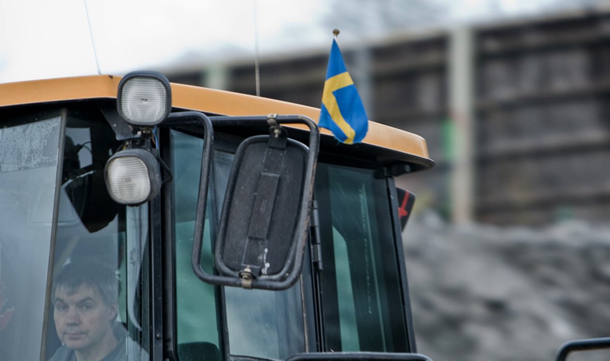 rootsi lipp