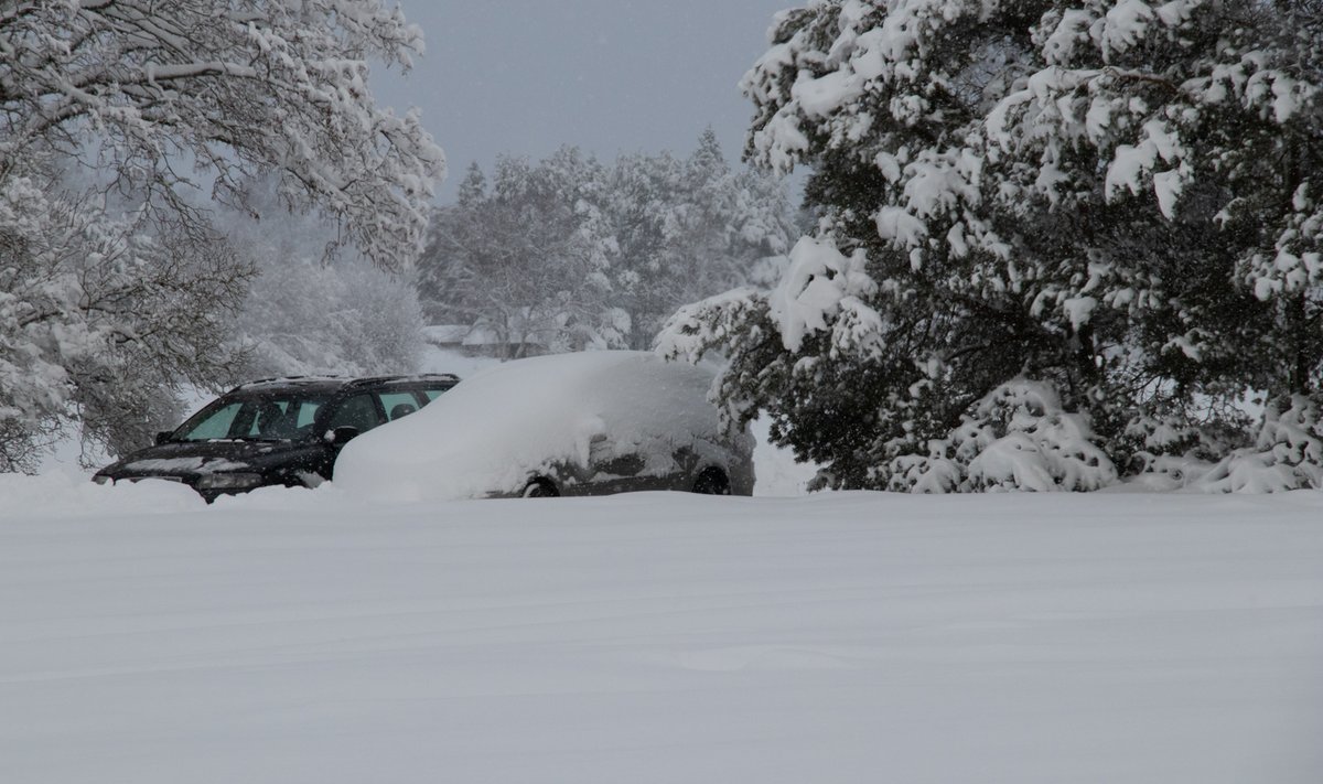Lumi kattis maa ilusa pehme lumevaibaga, kuid jättis Saaremaal tuhanded pered elektrita.