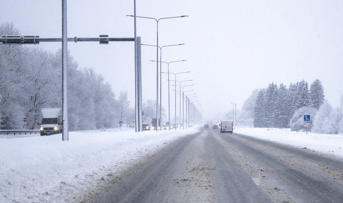 14-aastase neiu päästis metsa äärest juhuslik autojuht. Pilt on illustratiivne.